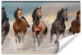 fototapeta-galopujace-konie-natura-wzor-3d-450x300