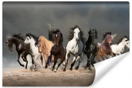 fototapeta-dzikie-konie-zwierzeta-galop-3d-450x300