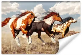 fototapeta-dziki-zachod-konie-w-galopie-3d-450x300