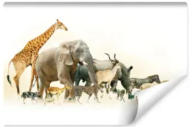 fototapeta-zwierzeta-slon-zyrafa-zebra-3d-400x280