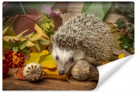 fototapeta-afrykanski-jez-liscie-natura-3d-450x300