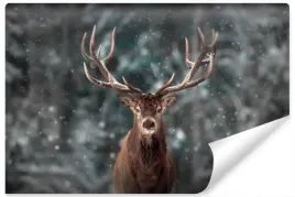 fototapeta-jelen-zimowy-pejzaz-natura-3d-450x300