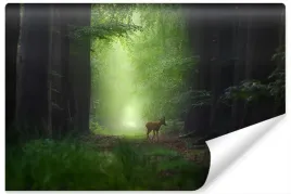 fototapeta-las-jelen-drzewa-natura-wzor-3d-450x300