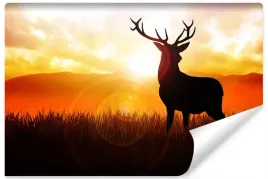 fototapeta-jelen-wschod-slonca-gory-tlo-3d-450x300