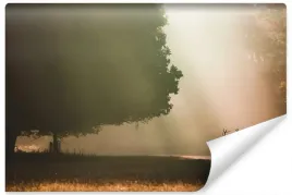 fototapeta-jesienny-pejzaz-jelen-drzewa-3d-450x300