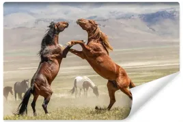 fototapeta-ozdobna-pastwisko-konie-wzor-3d-450x300