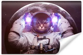 fototapeta-dla-mlodziezy-kot-astronauta-3d-450x300