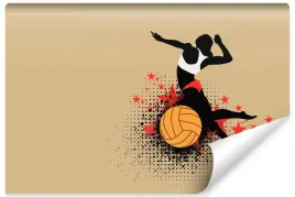 fototapeta-dla-mlodziezy-siatkowka-sport-450x300