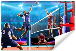 fototapeta-scienna-siatkarze-mecz-sport-3d-450x300