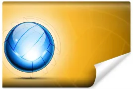 fototapeta-scienna-pilka-siatkowa-efekt-3d-400x280