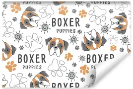 fototapeta-mlodziezowa-psy-zwierzeta-boxer-450x300