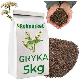 gryka-nasiona-na-poplon-zielonke-5kg-material-paszowy-roslina-miododajna