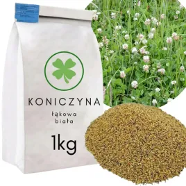 koniczyna-biala-1kg-huia-romena-nasiona-pastwiskowa-poplon-na-laki-pasze