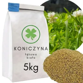 nasiona-koniczyny-5kg-koniczyna-biala-paszowa-na-laki-pastwiska-kwalifikat