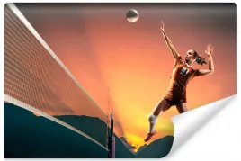 fototapeta-siatkarka-podczas-gry-sport-3d-450x300