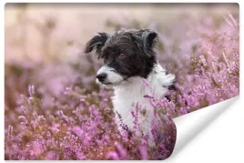 fototapeta-do-salonu-pies-kwiaty-natura-3d-450x300