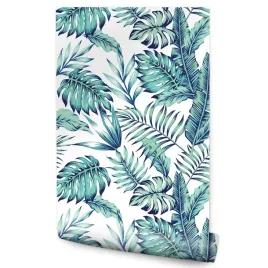 tapeta-w-rolce-monstera-egzotyczne-liscie-rosliny