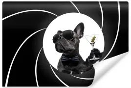 fototapeta-na-korytarz-zabawny-pies-buldog-400x280