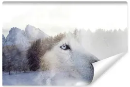 fototapeta-na-korytarz-husky-natura-gory-450x300