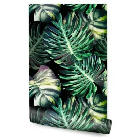 tapeta-do-salonu-monstera-liscie-tropikalne-natura
