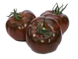 pomidor-szczepiony-big-sacher-czekoladowy-pomidor-rozsada-p9
