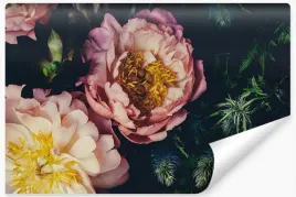 fototapeta-styl-vintage-piwonie-kwiaty-3d-450x300