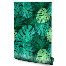 tapeta-do-jadalni-egzotyczne-liscie-monstery-3d