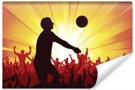 fototapeta-mlodziezowa-siatkarz-sport-3d-450x300