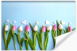 fototapeta-dekoracyjna-tulipany-serca-3d-450x300