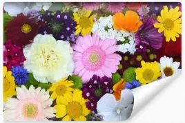fototapeta-scienna-kolorowe-kwiaty-wzor-3d-400x280