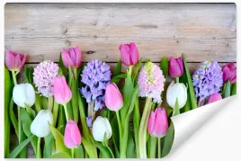 fototapeta-scienna-kwiaty-tulipany-wzor-3d-450x300