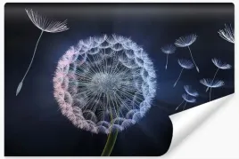 fototapeta-roslinny-wzor-mniszek-efekt-3d-450x300