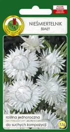 niesmiertelnik-bialy-15-g-pnos