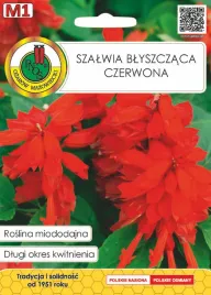 szalwia-blyszczaca-czerwona-05-g-pnos