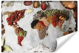 fototapeta-do-kuchni-mapa-swiata-przyprawy-450x300