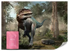 fototapeta-dla-dzieci-dinozaur-zwierzeta-dzungla-abstrakcja-wzor-3d-270x180