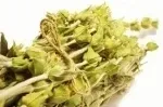 gojnik-grecka-herbata-gorska-80g