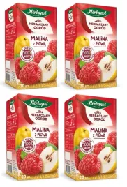 4x-20x-27g-herbapol-herbaciany-ogrod-herbatka-owocowa-malina-z-pigwa-80tb