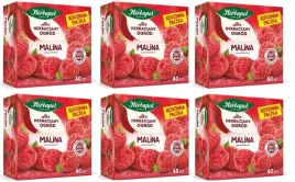 6x-108g-herbapol-herbatka-owocowa-malina-rodzinna-paczka-karton