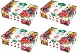 zestaw-herbat-bifix-6-herbat-owocowych-240szt-x-2g