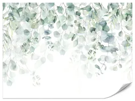 fototapeta-do-salonu-sypialni-akwarelowe-liscie-eukaliptus-rosliny-450x300