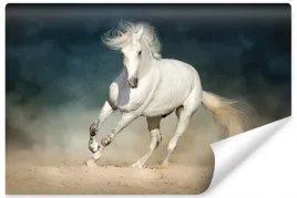 fototapeta-scienna-kon-pustynia-piasek-3d-450x300