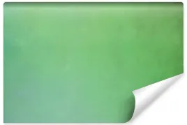 fototapeta-jasnozielone-abstrakcyjne-ombre-450x300