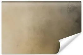 fototapeta-abstrakcyjne-ombre-bezowe-tlo-450x300
