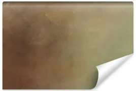 fototapeta-ozdobna-pastelowe-bezowe-ombre-400x280
