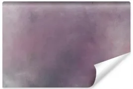 fototapeta-nowoczesna-fioletowe-ombre-roz-450x300