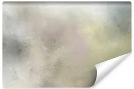 fototapeta-ozdobna-szara-abstrakcja-ombre-400x280