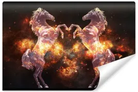 fototapeta-scienna-konie-kosmos-gwiazdy-3d-450x300