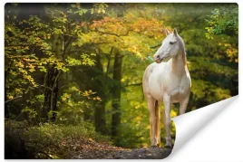 fototapeta-scienna-kon-w-lesie-natura-3d-450x300