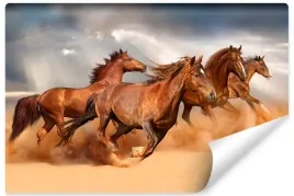 fototapeta-stado-koni-pustynia-niebo-3d-400x280